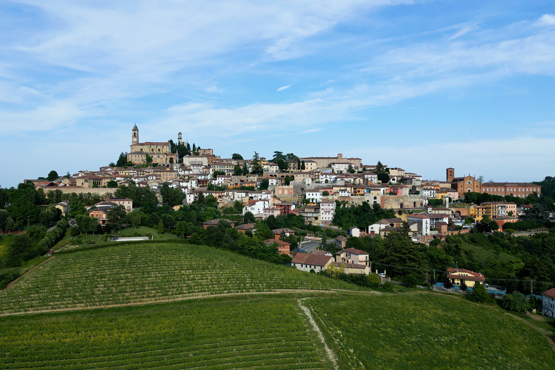 Vignale Monferrato